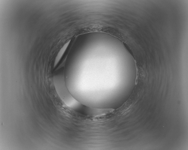 X0000055990818200509092017