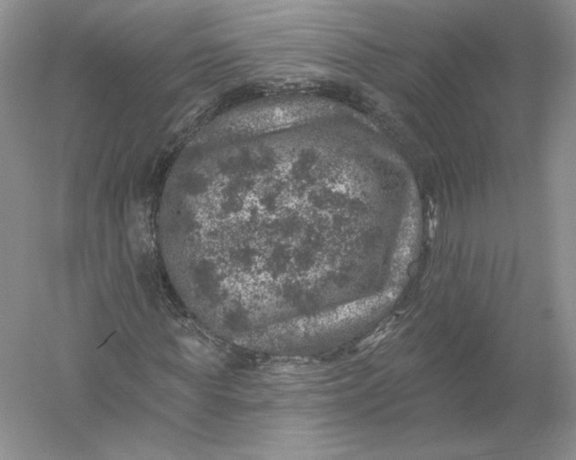 X0000055990819200509092017