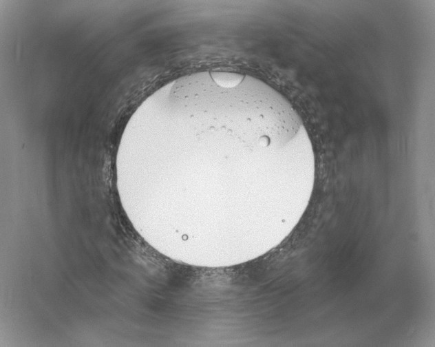 X0000055990820200509092017