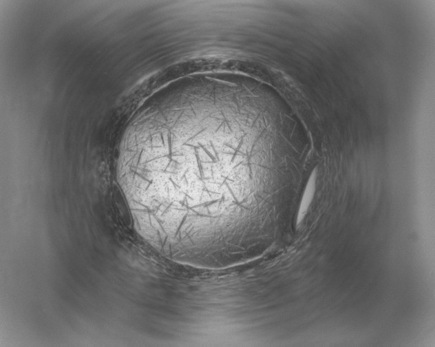 X0000055990821200509092017