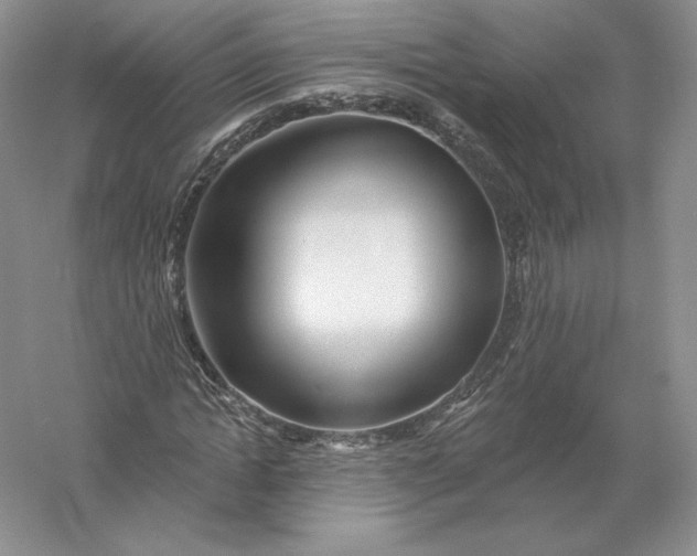 X0000055990822200509092017