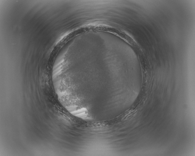 X0000055990823200509092017