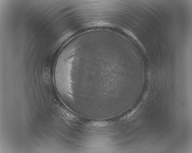 X0000055990825200509092017