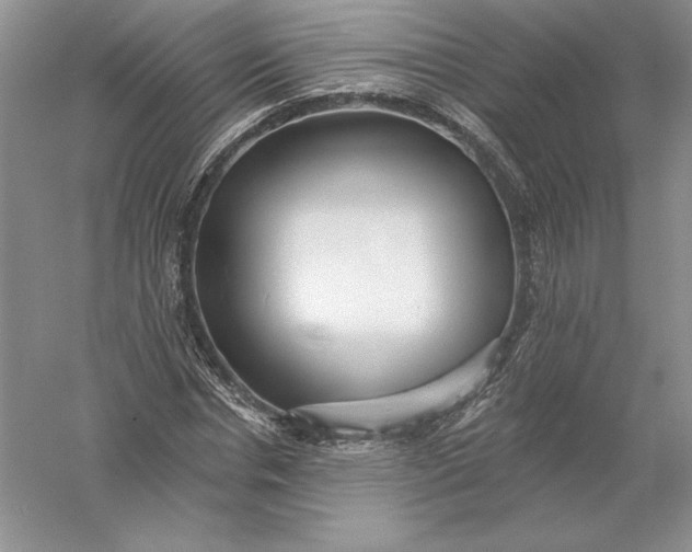 X0000055990826200509092017