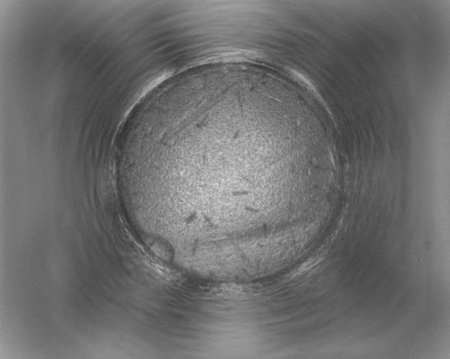 X0000055990827200509092017