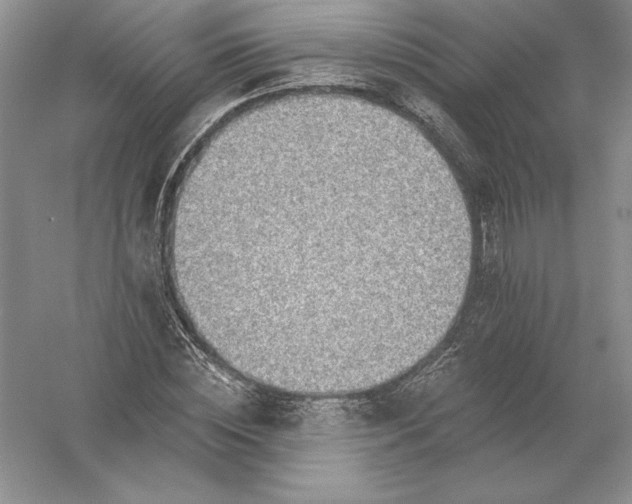 X0000055990828200509092017