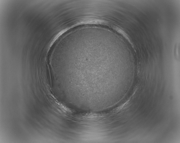 X0000055990829200509092017