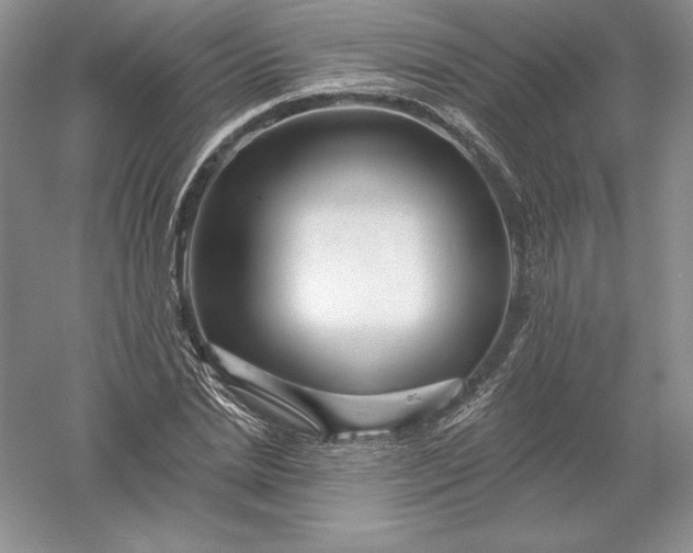 X0000055990830200509092017