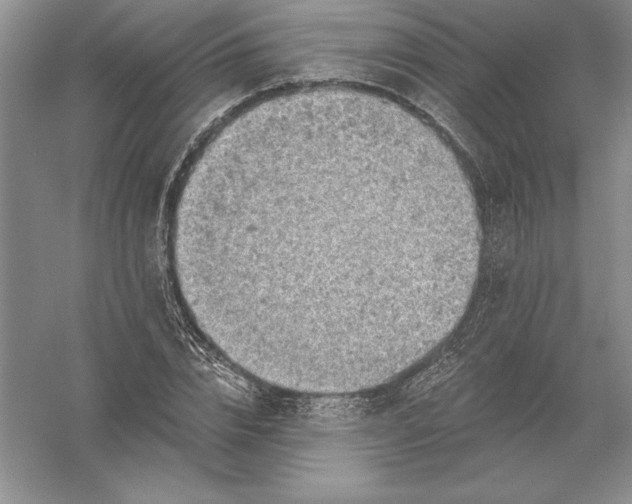 X0000055990832200509092017