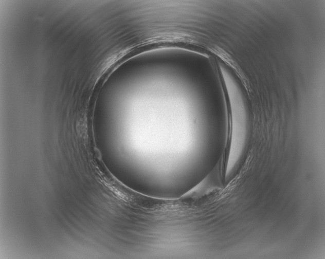 X0000055990834200509092017