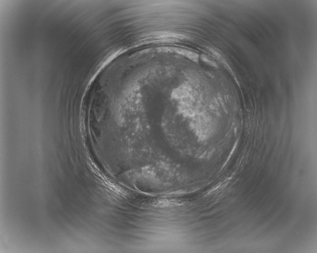 X0000055990835200509092017