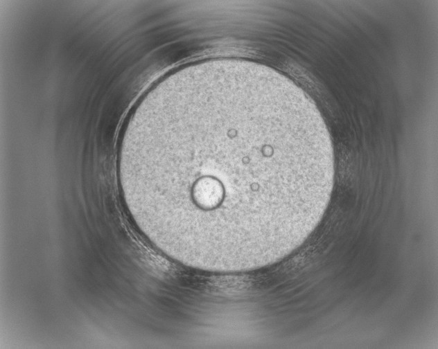 X0000055990836200509092017