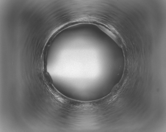 X0000055990838200509092017