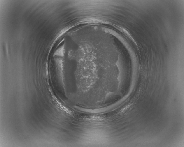 X0000055990839200509092017