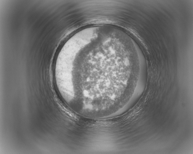 X0000055990840200509092017