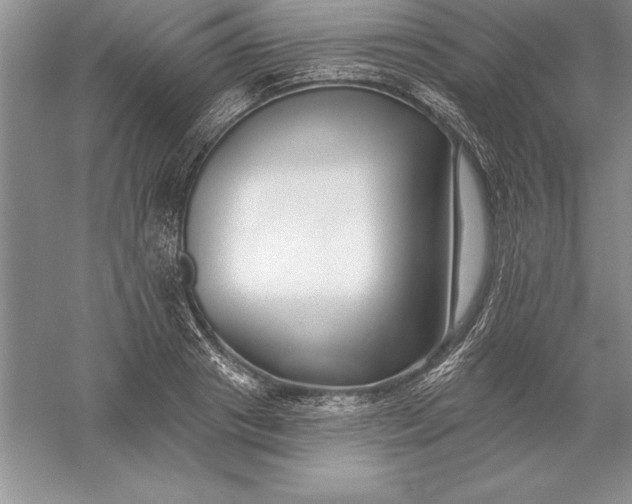 X0000055990841200509092017