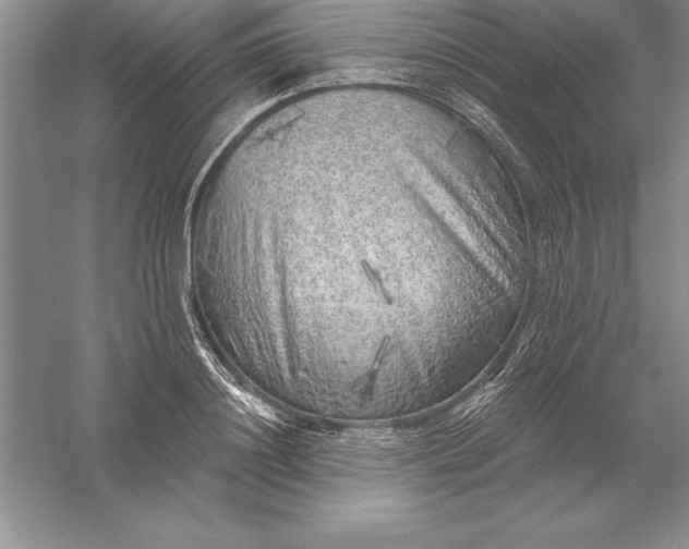 X0000055990844200509092017