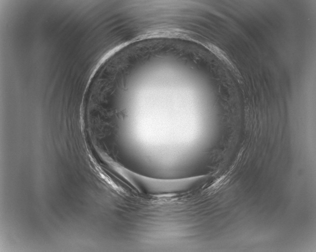 X0000055990846200509092017