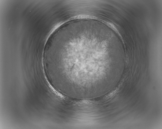 X0000055990847200509092017