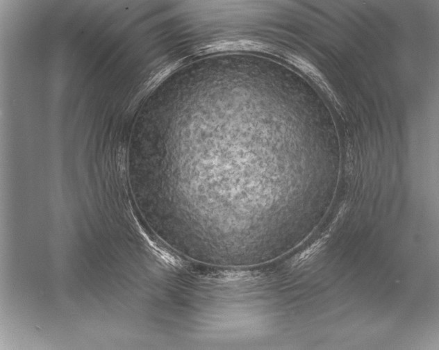 X0000055990849200509092017