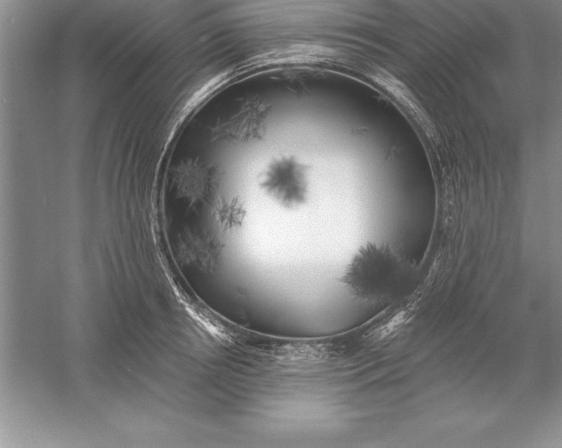 X0000055990850200509092017