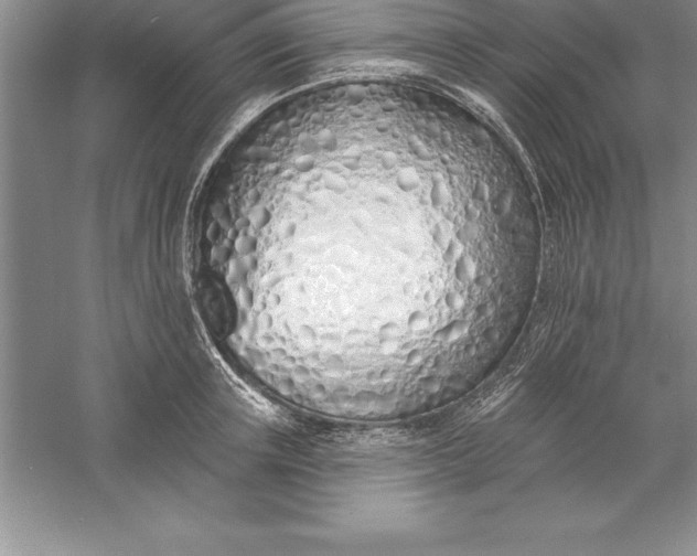 X0000055990851200509092017