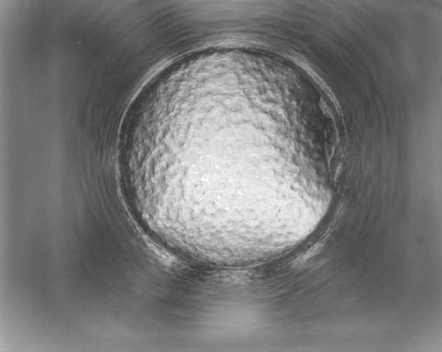 X0000055990853200509092017