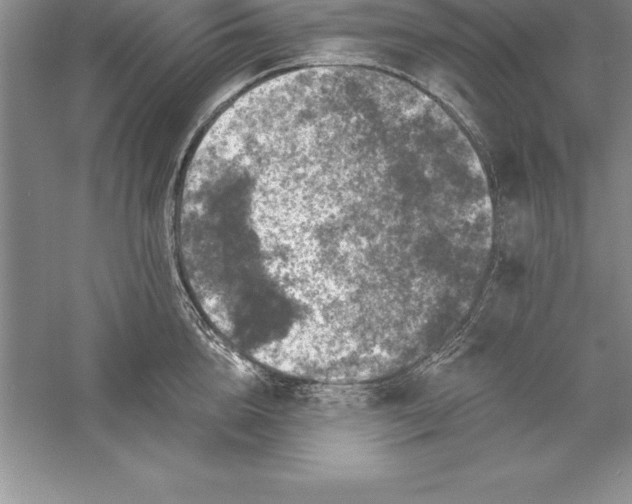 X0000055990856200509092017