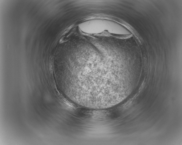 X0000055990857200509092017