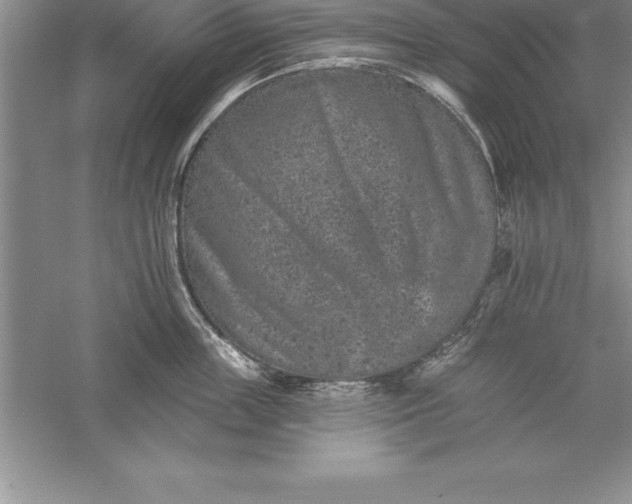 X0000055990859200509092018