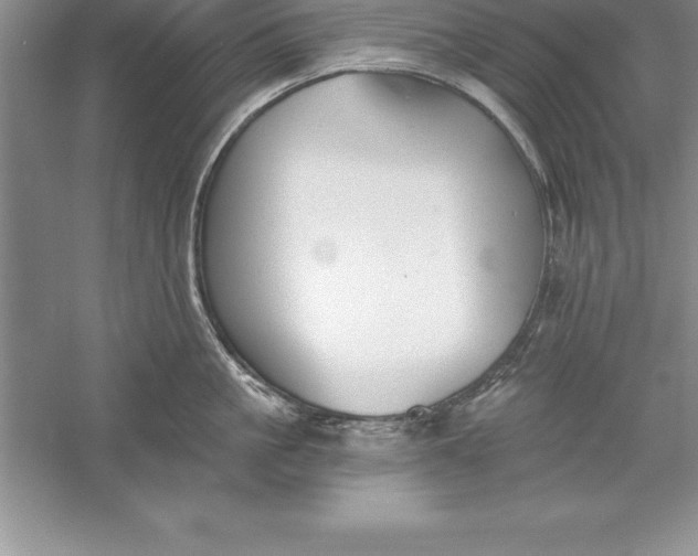 X0000055990861200509092018