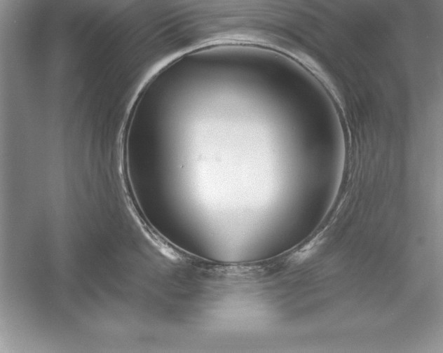 X0000055990862200509092018