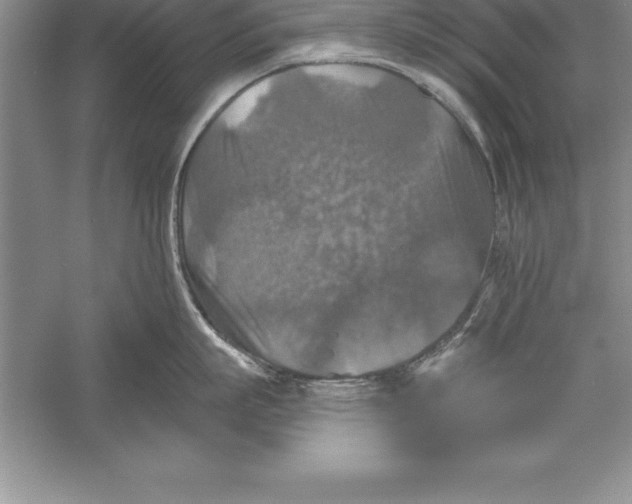 X0000055990863200509092018