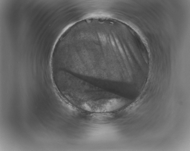 X0000055990864200509092018