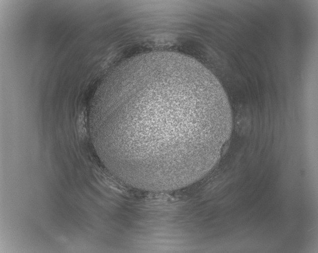 X0000055990866200509092017