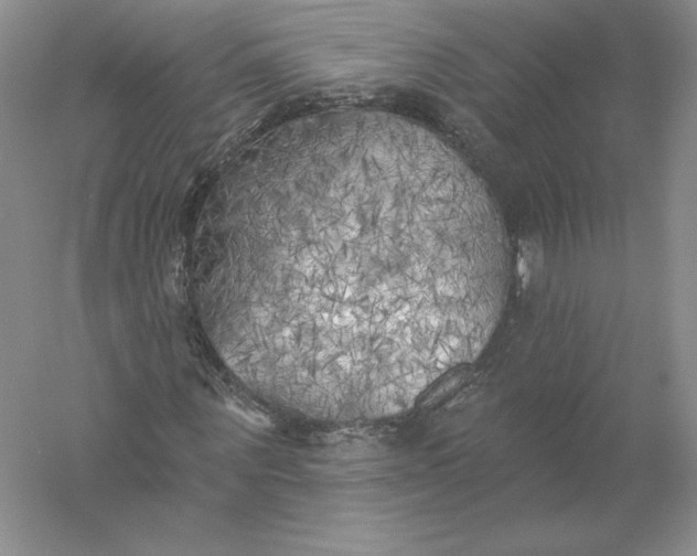 X0000055990867200509092017