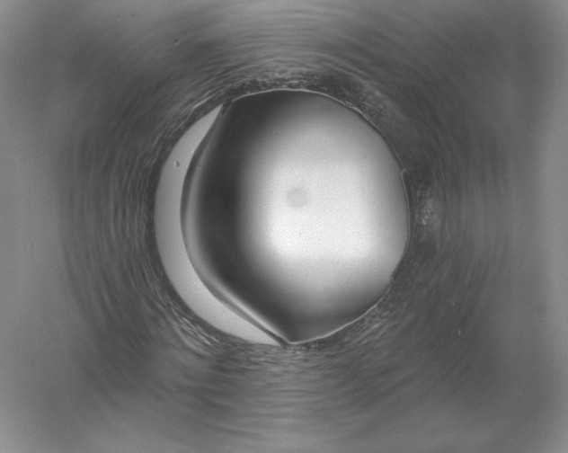 X0000055990868200509092017