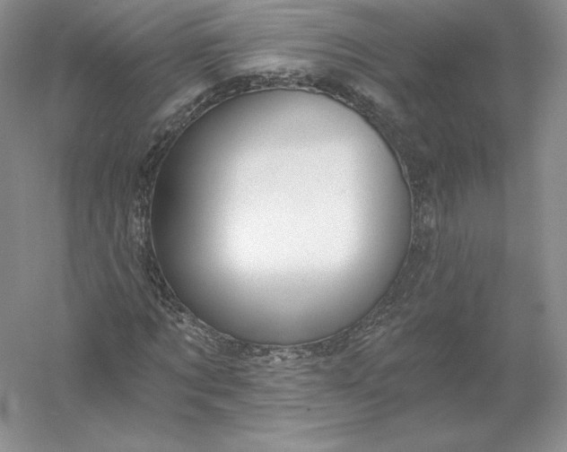 X0000055990869200509092017