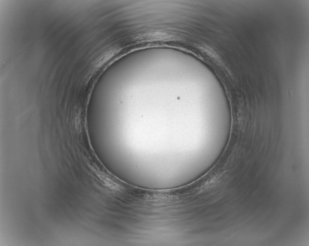 X0000055990873200509092017