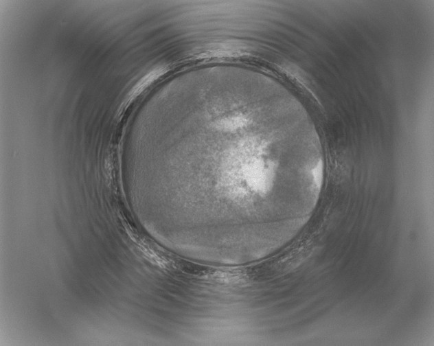 X0000055990874200509092017