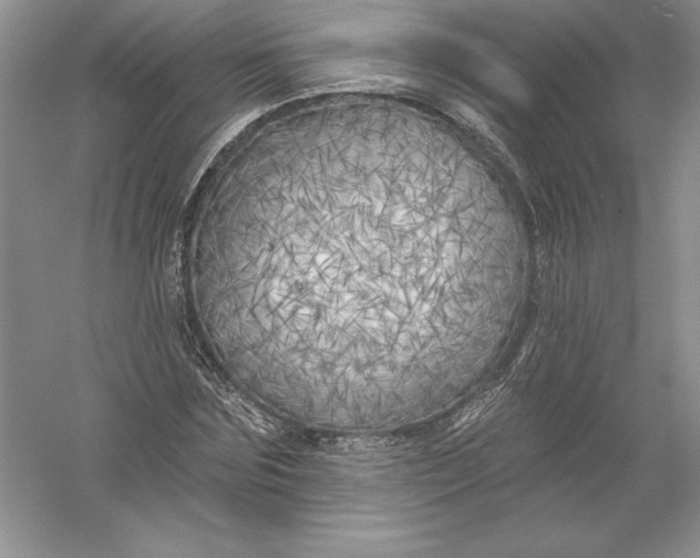 X0000055990875200509092017