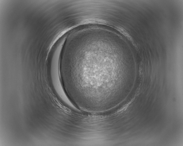 X0000055990877200509092017