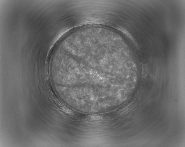 X0000055990878200509092017