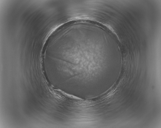 X0000055990879200509092017