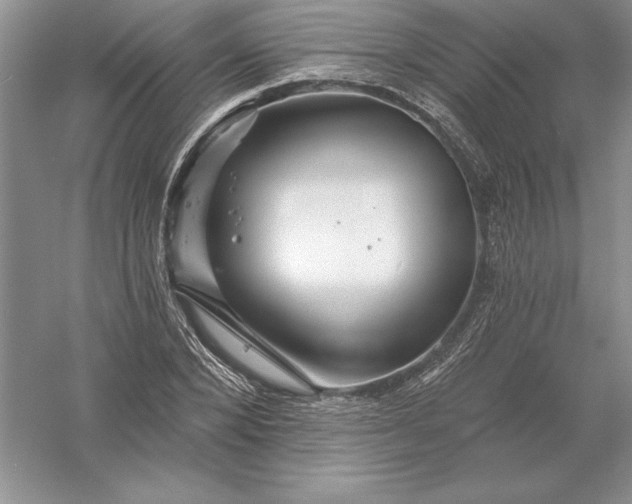 X0000055990880200509092017