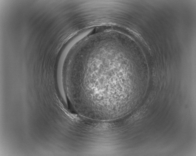 X0000055990881200509092016