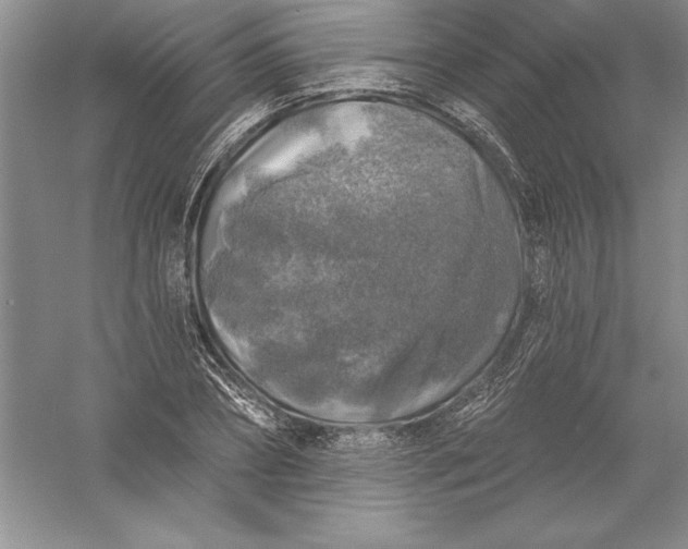 X0000055990882200509092016