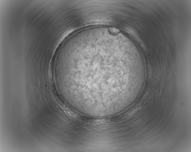 X0000055990883200509092016