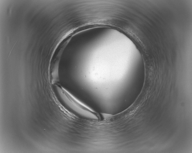 X0000055990884200509092016