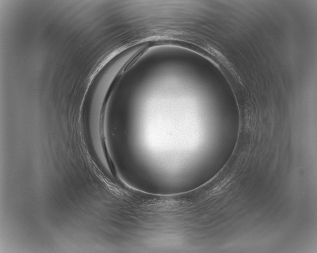 X0000055990885200509092016